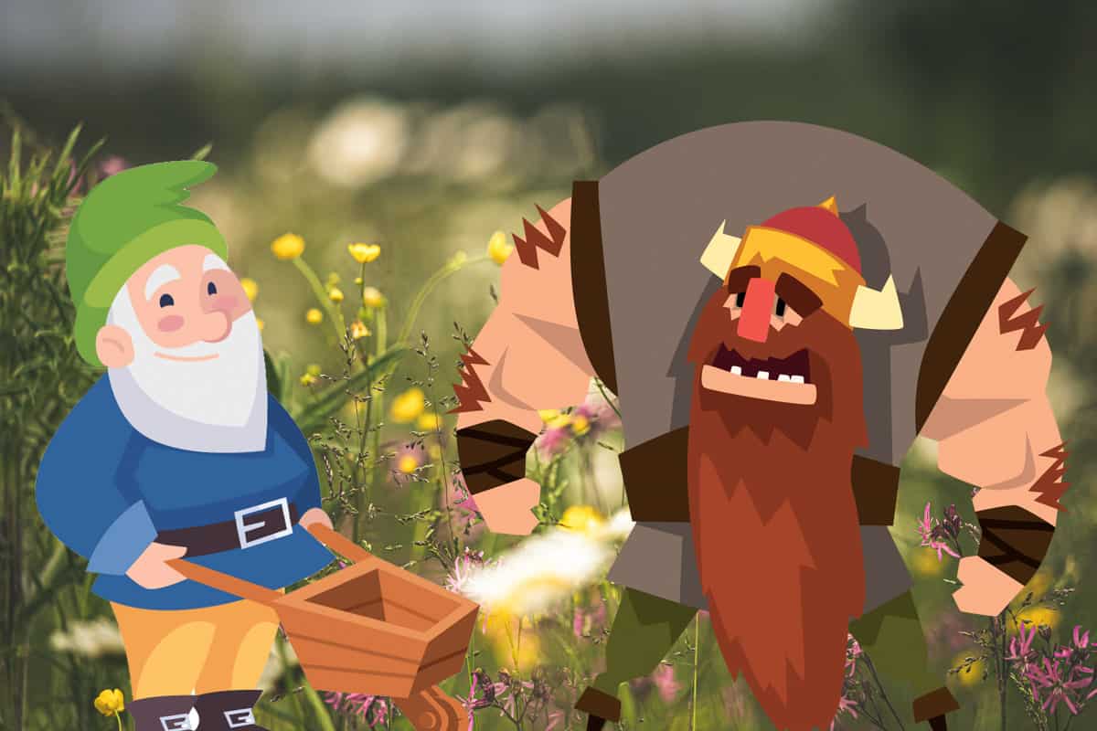 Gnomes vs Dwarves